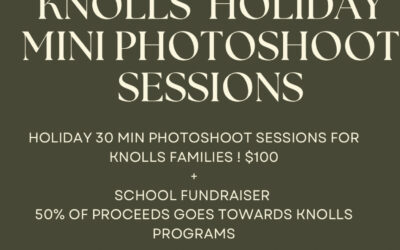 Knolls Holiday Mini Photoshoot Sessions